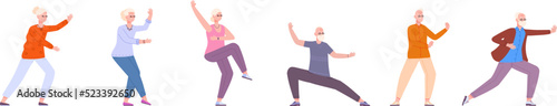 Seniors tai chi. Retired people taichi movement, active morning chinese exercise diversity sport exercising flexibility body wellness elderly activity, splendid vector illustration