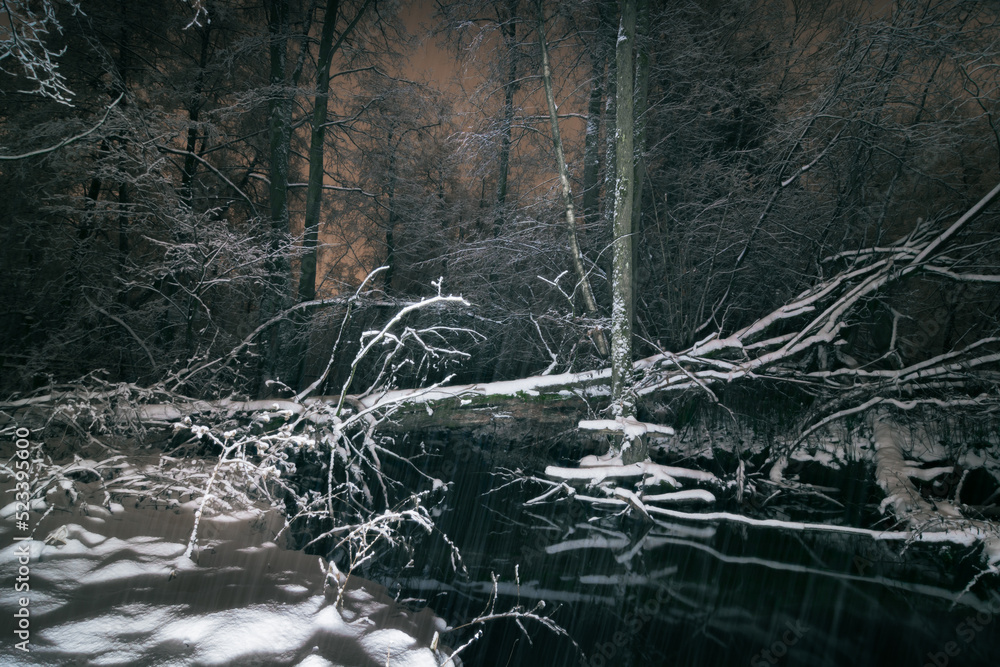 Snowfall on a forest river Snowfall on a forest river