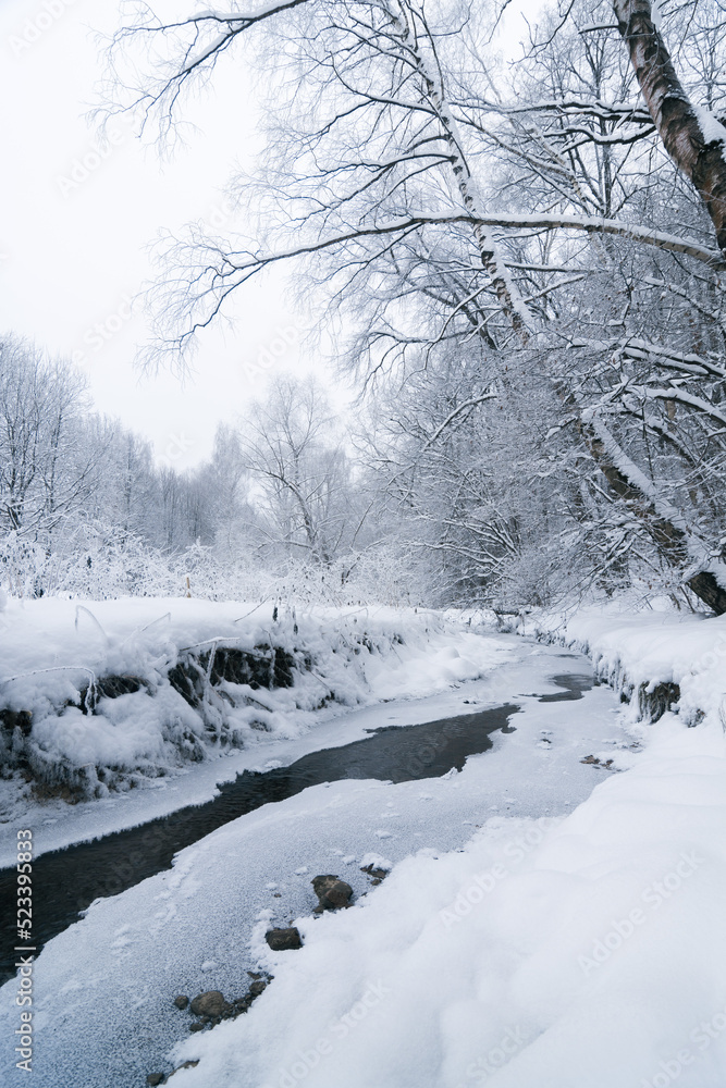 Trees with hoarfrost over river in a forest Trees with hoarfrost over river in a forest