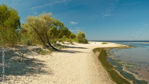 Fototapeta Naklejka Na Ścianę i Meble -  beach on the island in summer, against the background of blue sky and sea