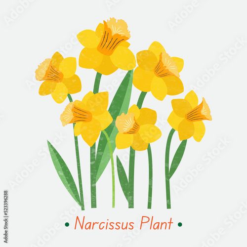 Valokuvatapetti bouquet of yellow flowers, narcissus, daffodils flower