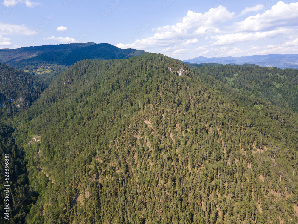 Fototapeta premium Aerial Summer view of Rhodope Mountains, Bulgaria
