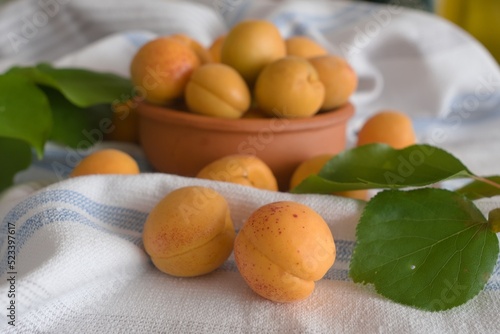 apricots in a basket