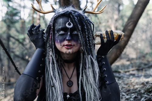 Billede på lærred Forest witch in a pine forest