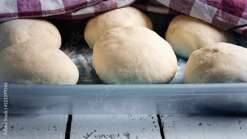 fresh yeast dough balls on a blue tray for pizza
