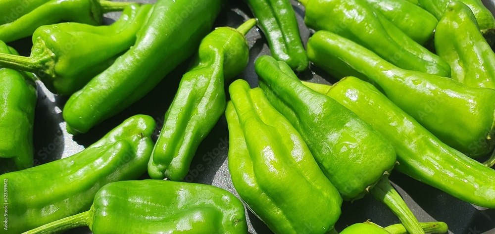 Juicy green peppers. Cooking process of sweet green pepper. Healthy fresh vegetables. Useful vegetables for advertising. Video cooking dishes from pepper. Useful sweet pepper cooking. Juicy green peppers. Cooking process of sweet green pepper. Healthy fresh vegetables. Useful vegetables for advertising. Video cooking dishes from pepper. Useful sweet pepper cooking.
