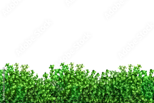 Ornamental green plant in the form of a hedge.Realistic garden shrub, seasonal bush, boxwood, tree crown bush foliage.For decorate of a park, a garden or a green fence.
