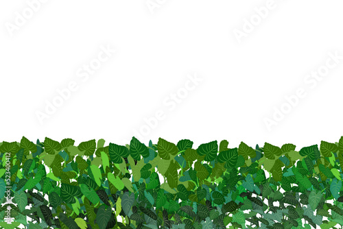 Ornamental green plant in the form of a hedge.Realistic garden shrub, seasonal bush, boxwood, tree crown bush foliage.For decorate of a park, a garden or a green fence.
