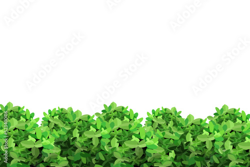 Ornamental green plant in the form of a hedge.Realistic garden shrub, seasonal bush, boxwood, tree crown bush foliage.For decorate of a park, a garden or a green fence.
