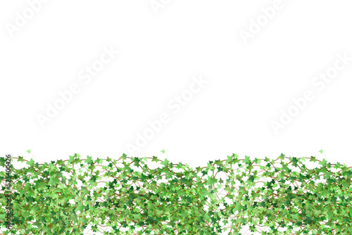 Ornamental green plant in the form of a hedge.Realistic garden shrub, seasonal bush, boxwood, tree crown bush foliage.For decorate of a park, a garden or a green fence.
