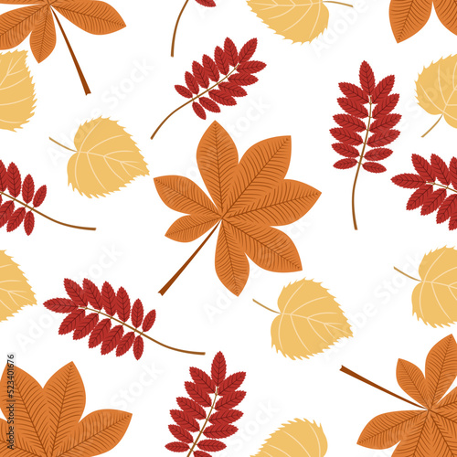 Autumn pattern leaves of chestnut,rowan, poplar trees on a white background.Vector pattern can be used in textiles, postcards,