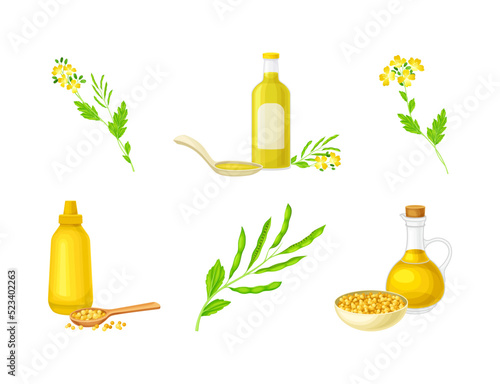 Mustard Plant with Seeds, Oil in Jar and Sauce in Bottle Vector Set
