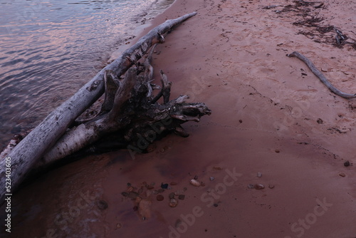 Driftwood on Garnet Beach on Lake Superior in Upper Peninsula Michigan