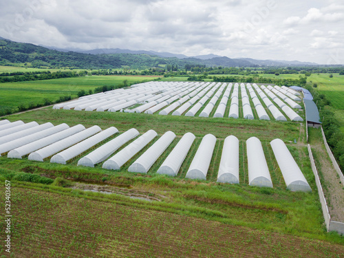 Drone view of greenhouses lined up  covered with white film for growing vegetables and fruits on the plain against the background of mountains. Agriculture  bio-products.