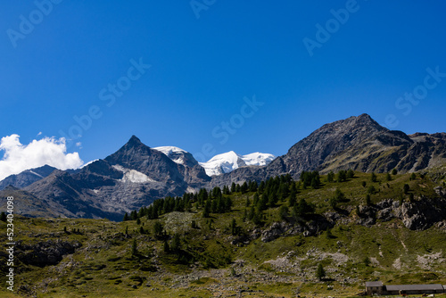Ghiacciaio dell'Aletsch in Svizzera in estate © Falcon's
