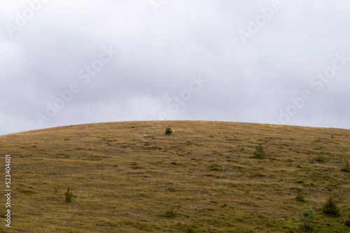 Hill