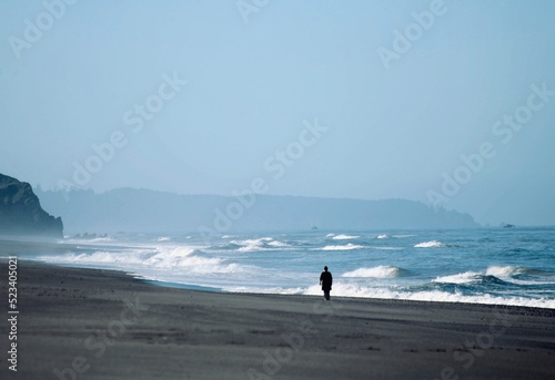 A lone person walks a beach