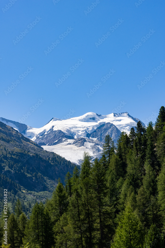 Ghiacciaio dell'Aletsch in Svizzera in estate