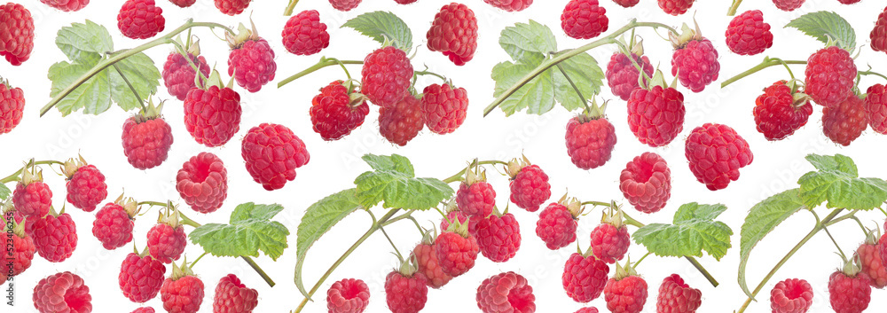 ripe raspberry with green leaves seamless stripe ripe raspberry with green leaves seamless stripe
