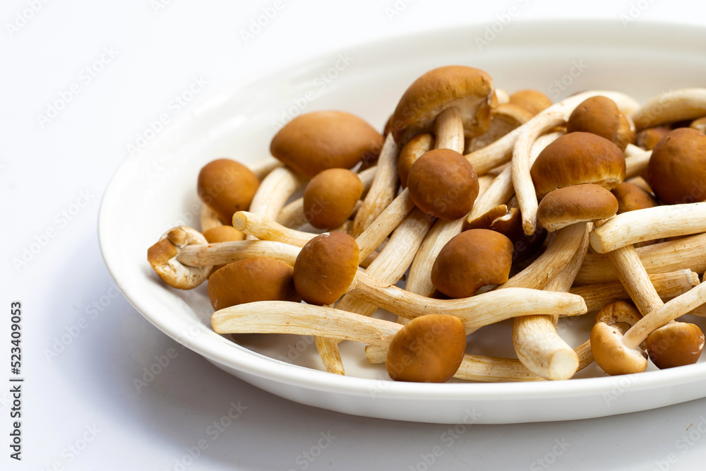 Yanagi Matsutake mushroom in white plate Yanagi Matsutake mushroom in white plate
