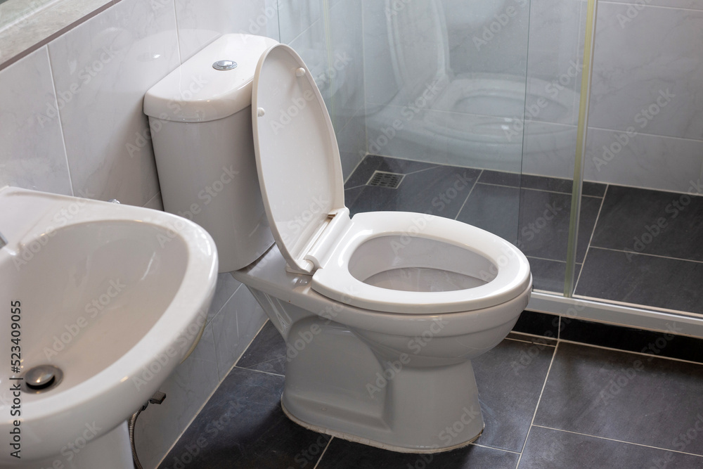White toilet bowl on floor White toilet bowl on floor