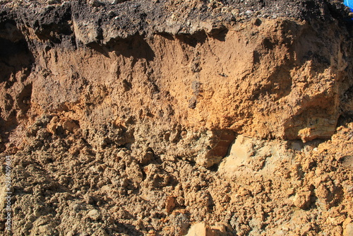掘られて帯状の層が露出している地面