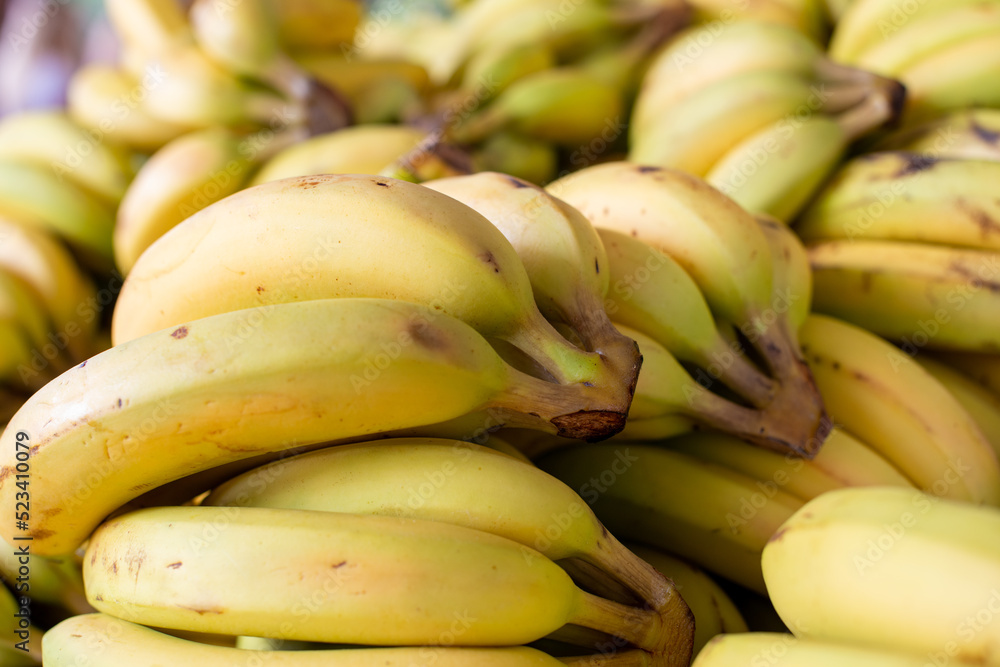A bunch of whole ripe yellow bananas was stacked on a farmer's market table. The sweet, soft tropical fruit, Musa, is a healthy harvest.  The edible curvy bananas have thick vibrant yellow skin. 