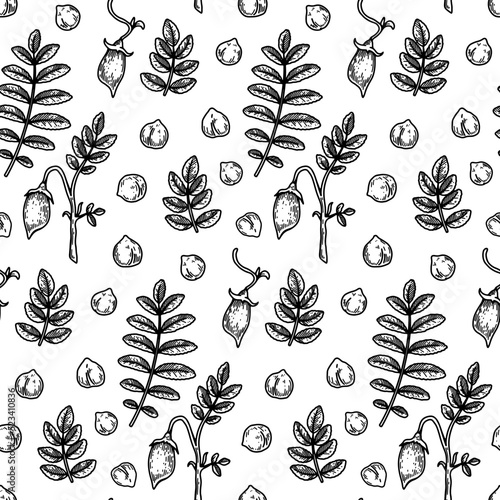 Hand drawn chickpeas seamless pattern. Vector illustration in sketch style