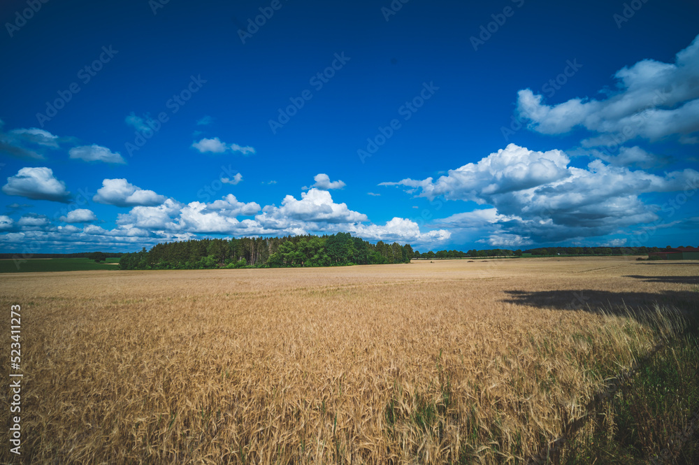 Obraz premium Celle, 15.08.2022