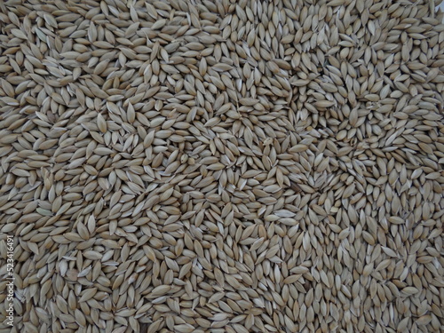 close up of seeds forming a texture