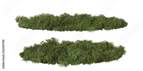 Canvas-taulu Shrubs and plant on a transparent background