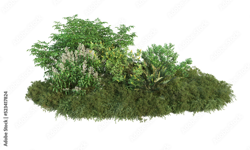 Fototapeta premium Shrubs and flower on a transparent background 