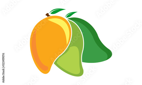vector mango illustration