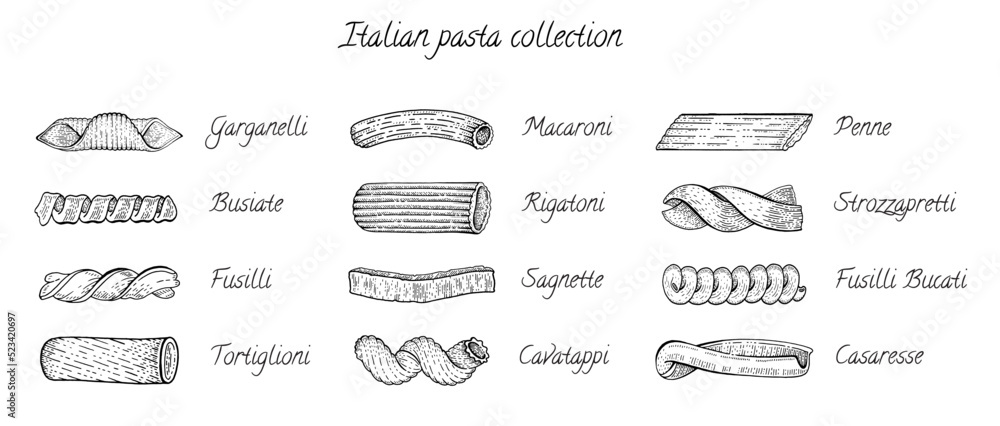 Italian pasta types in sketch style. Vector hand drawn food icons set ...