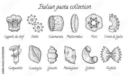 Italian pasta types in sketch style. Vector hand drawn food icons set of macaroni different shapes, farfalle, cannelloni, gnocchi and conchiglie. Engraving collection of Italy pasta