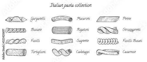Italian pasta types in sketch style. Vector hand drawn food icons set of macaroni different shapes, penne, fusilli, rigatoni and cavatappi. Engraving collection of Italy pasta