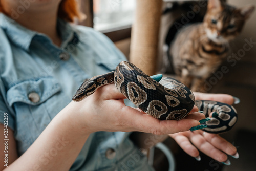 Young woman holdind pet snake in her hands.