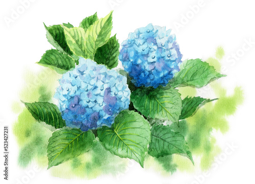 アナログ水彩青の紫陽花