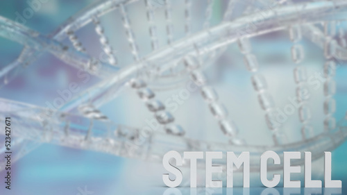 The stem cell text on dna background for sci or medical concept 3d rendering