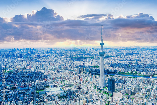 Photography 東京 Tokyo