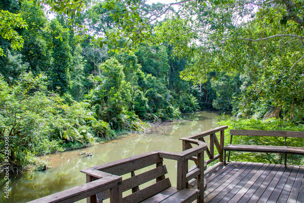 The view of Khao Yai national park, established in 1962 as Thailand's first national park, it is the third largest national park in Thailand. The view of Khao Yai national park, established in 1962 as Thailand's first national park, it is the third largest national park in Thailand.