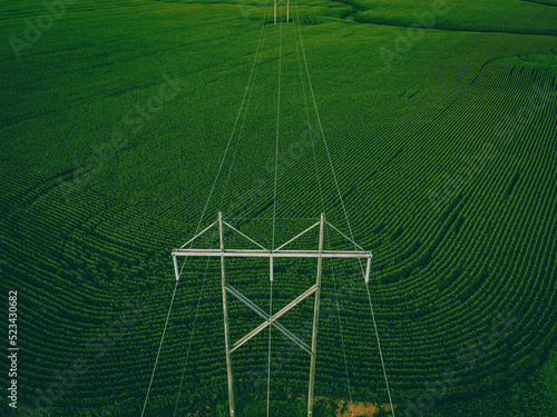 Powerlines over farms in summer