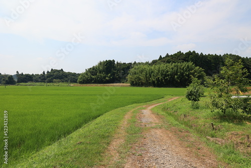 田園風景