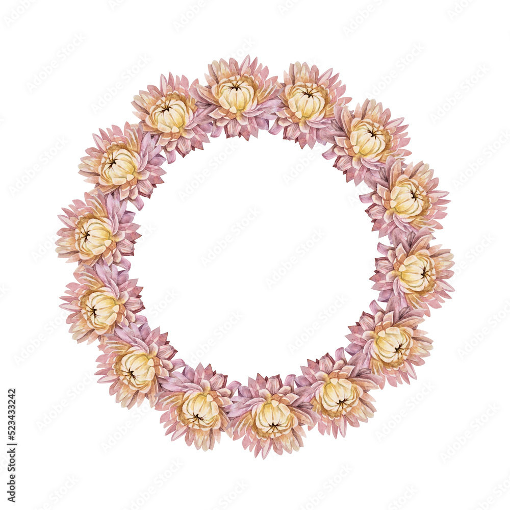 Watercolor boho wreath isolated on white background. Circle frame border template for design. Dry flower pink chrysanthemum for wedding. Hand-drawn summer autumn plant. Clipart with copy space Watercolor boho wreath isolated on white background. Circle frame border template for design. Dry flower pink chrysanthemum for wedding. Hand-drawn summer autumn plant. Clipart with copy space