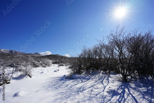 snowy mountain and sun © SooHyun