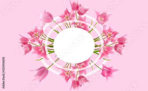Banner for design with fresh tulip flowers on pink background