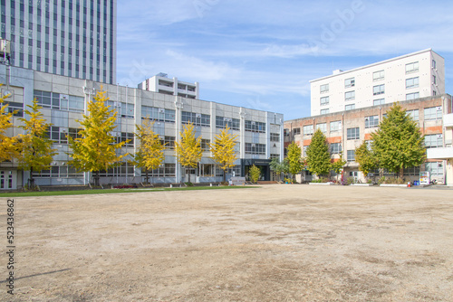 小学校の校舎と校庭