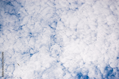 Blue sky filled with clouds. Copy space © Oleg