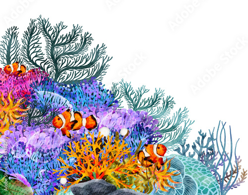 Fototapeta Naklejka Na Ścianę i Meble -  under ocean life element with watercolor painted , Coral reef with transparent background
