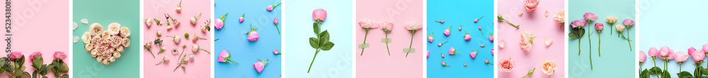 Collage with beautiful pink roses on colorful background